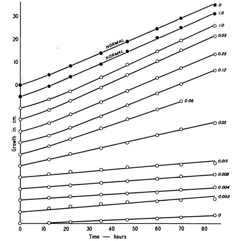 Beadle and Tatum were the first to marry biochemistry with genetics in 1941