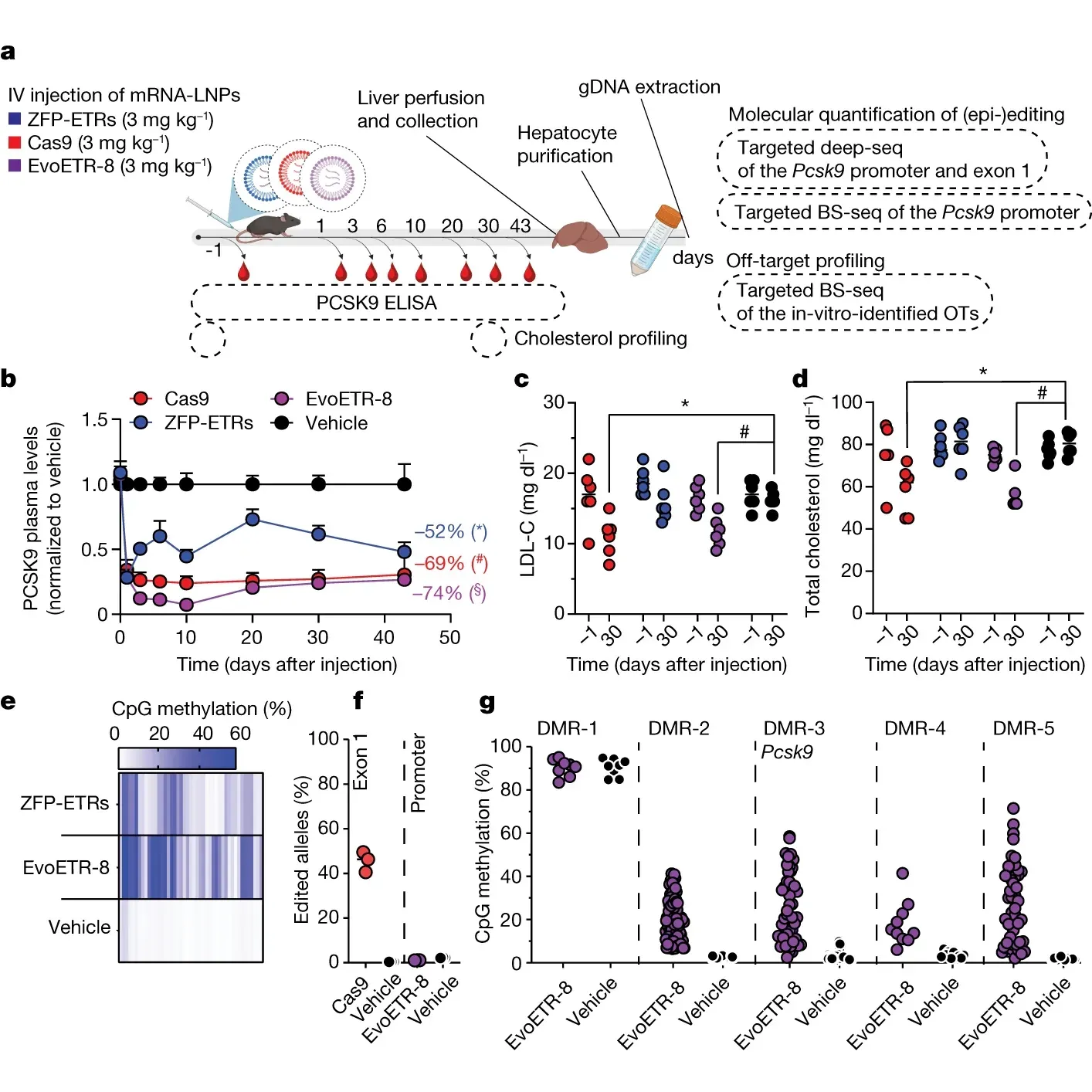 Epigenome editors are coming for cholesterol (and other diseases)!