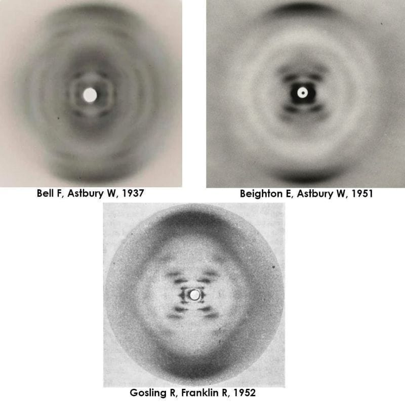 Did you know that there was a high quality diffraction of B-DNA made a year before Rosalind Franklin and Raymond Gosling generated photo 51?