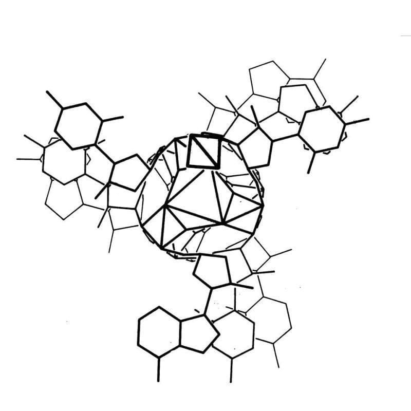 Linus Pauling proposed a triple helical structure for DNA in 1953. Here's why he got it so wrong