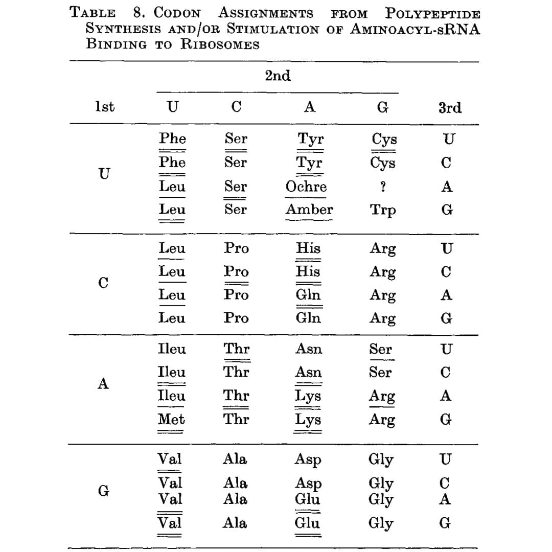 The structure of the DNA double-helix was published in 1953, but it took another 13 years to actually crack the genetic code.