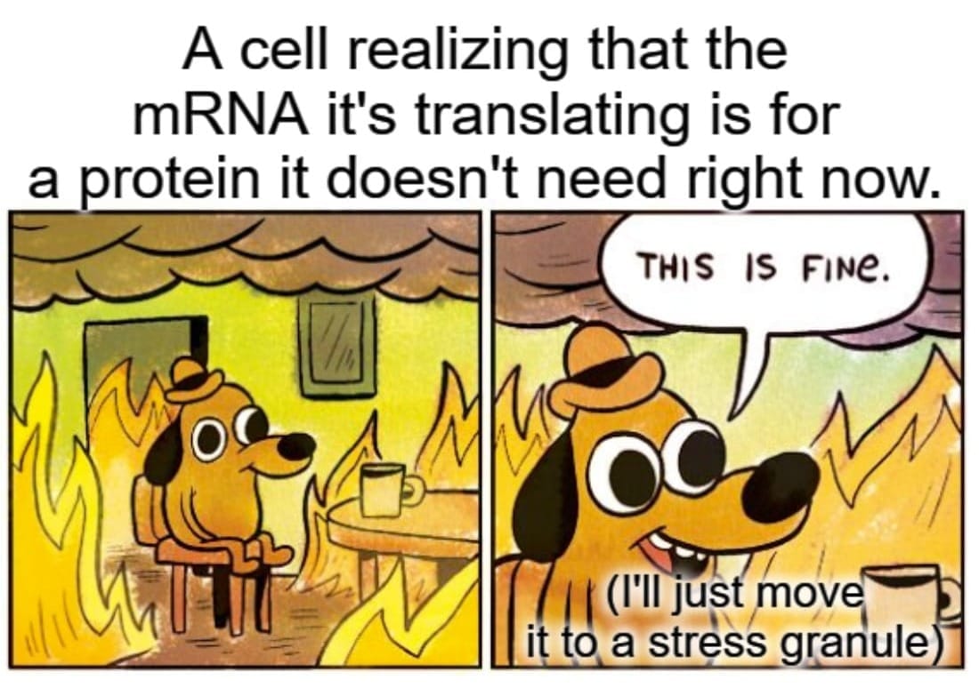 The Proteome: It's a bit more complex than any of us would like