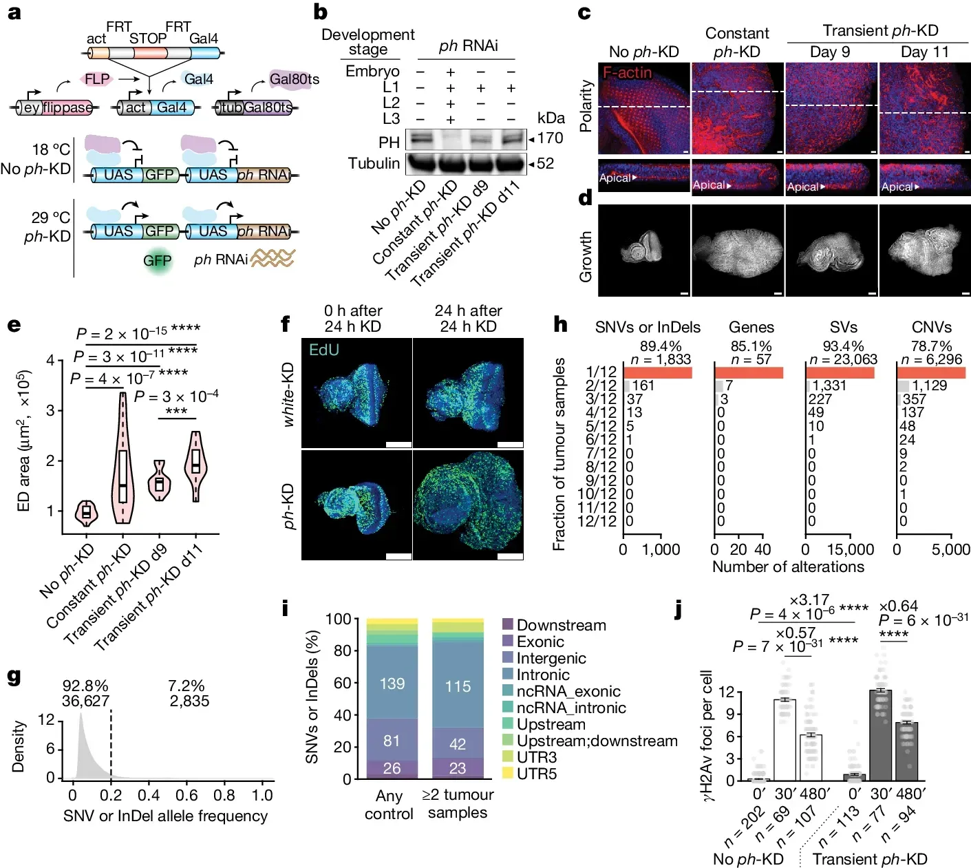 No DNA mutations needed. Epigenetic changes can cause cancer.