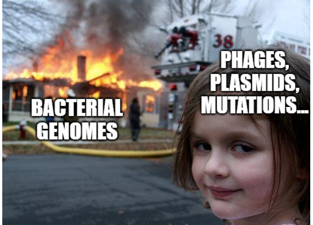 Pangenomes: the coolest new thing in human genetics got its start in bacteria. No, seriously!