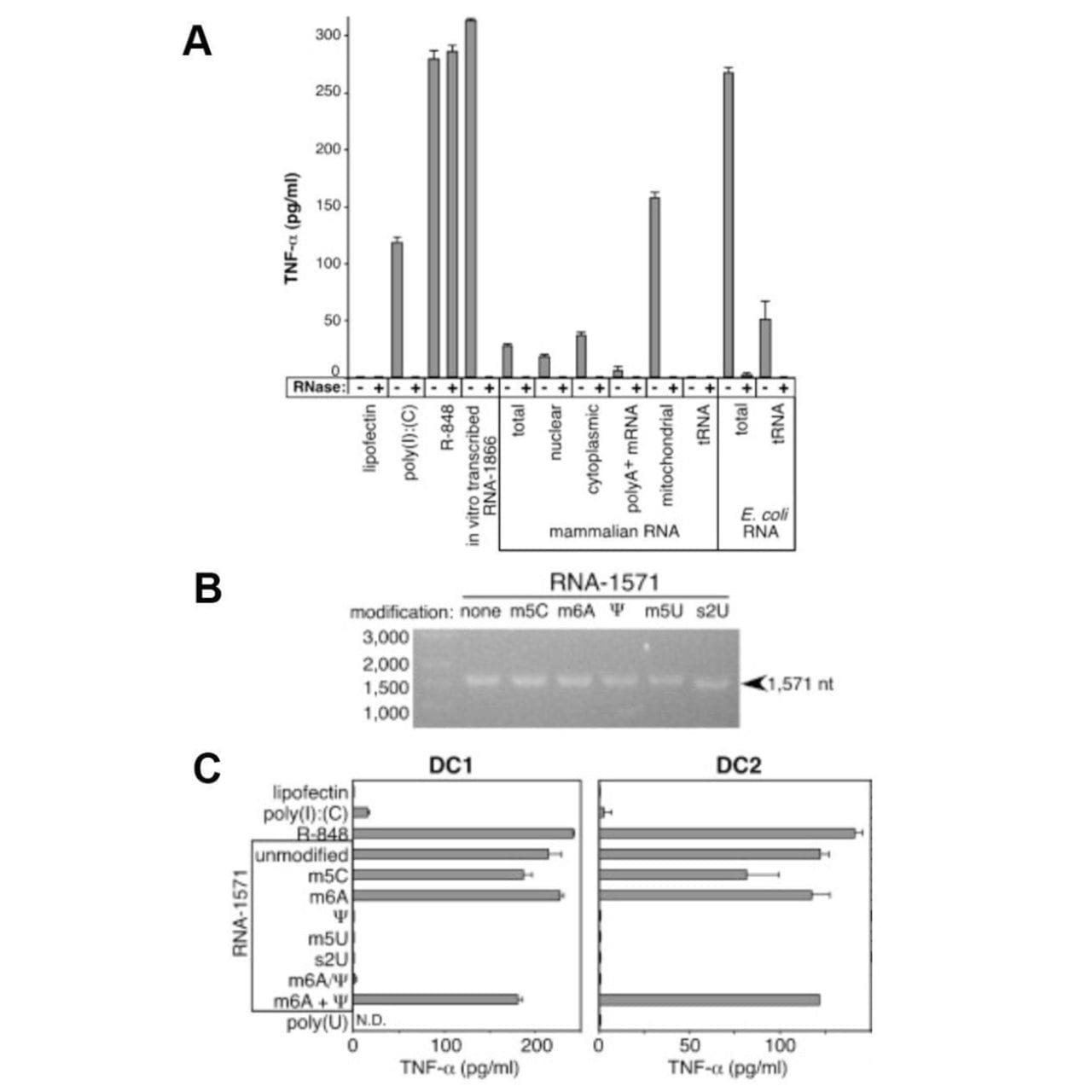 mRNA vaccines almost weren't a thing