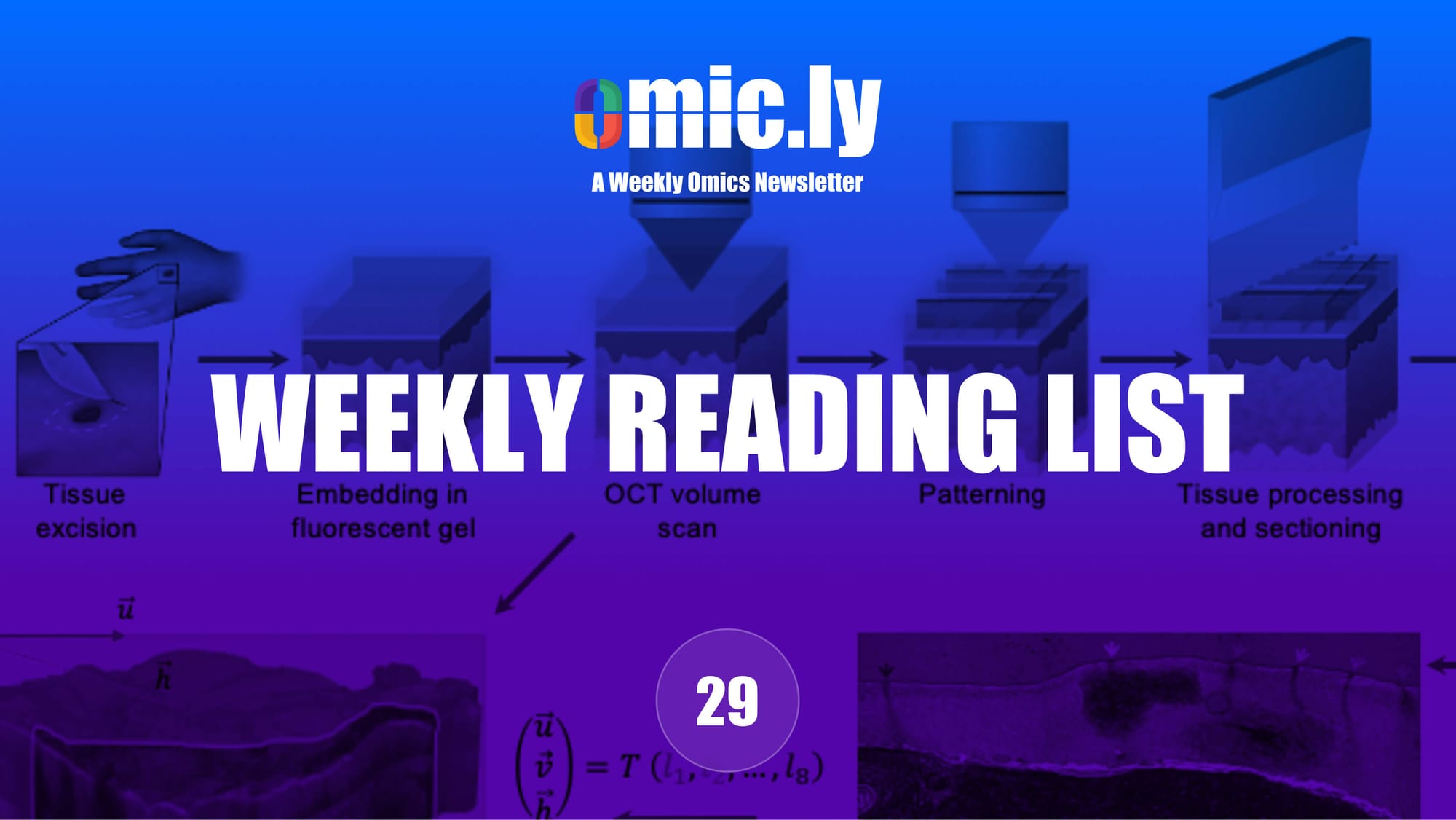 Weekly Reading List: June 16, 2024