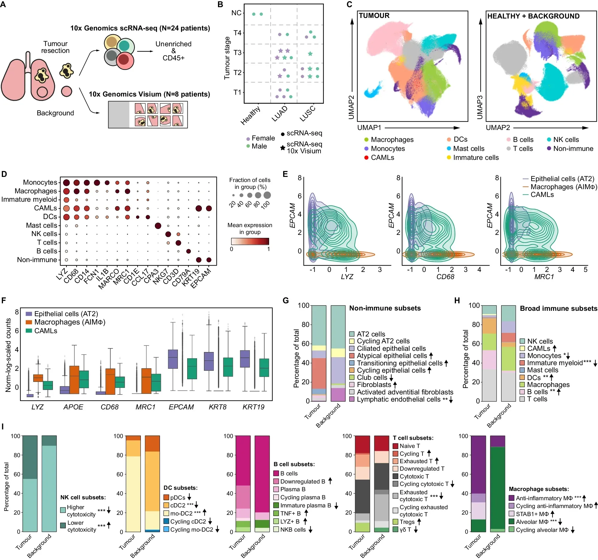 The tumor microenvironment is a complicated place full of contradictions