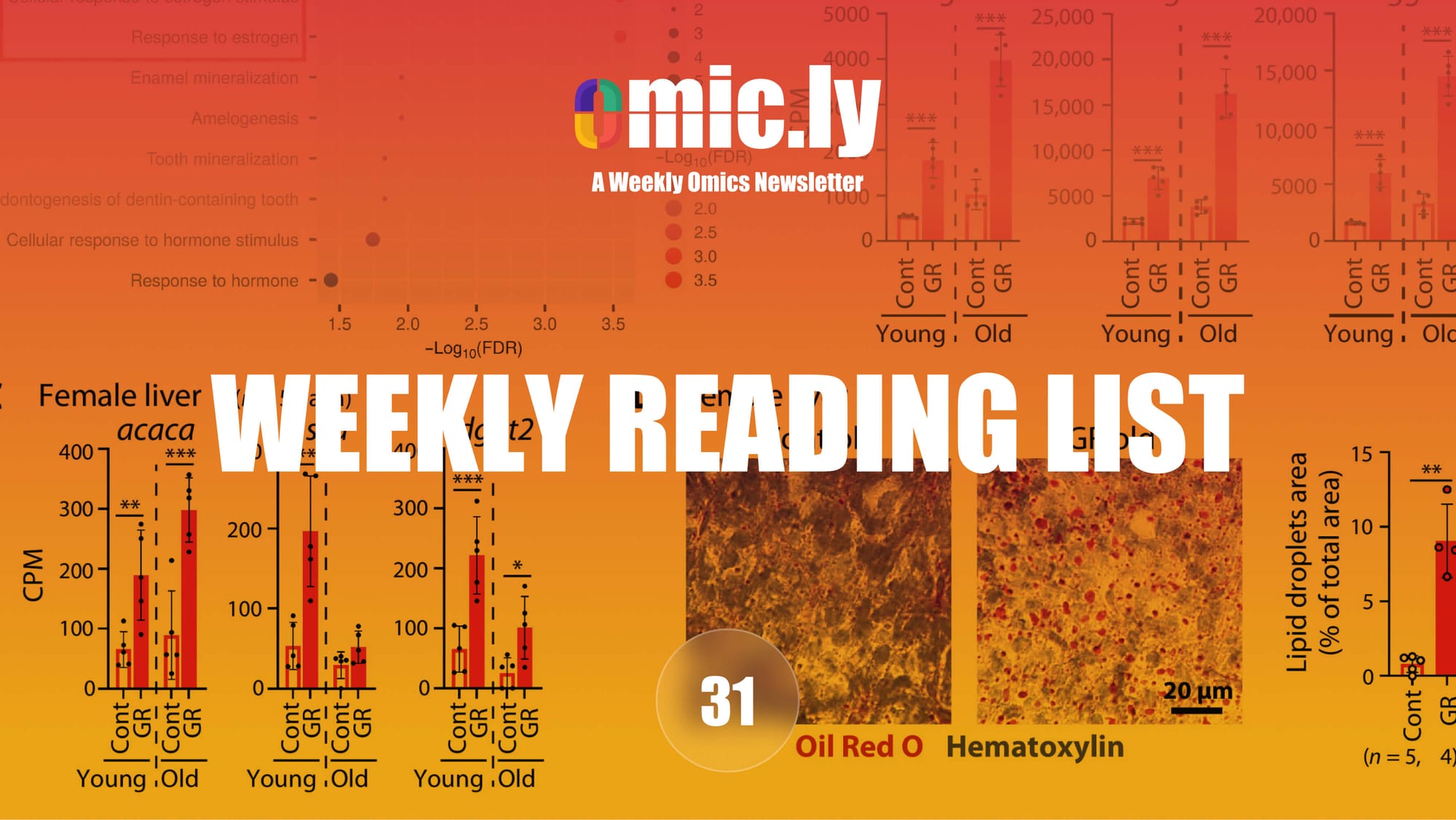 Weekly Reading List: June 30, 2024