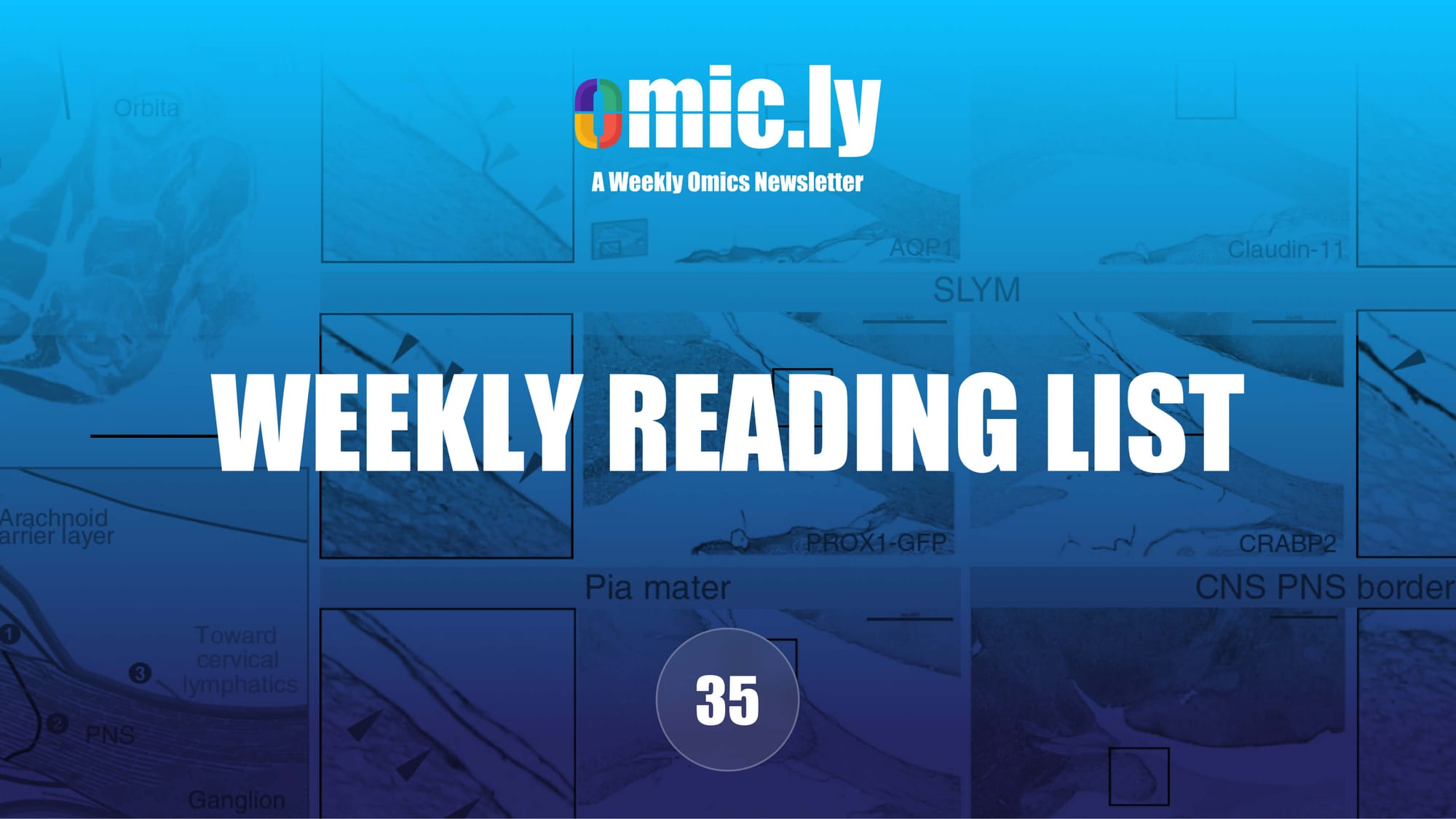 Weekly Reading List: July 28, 2024