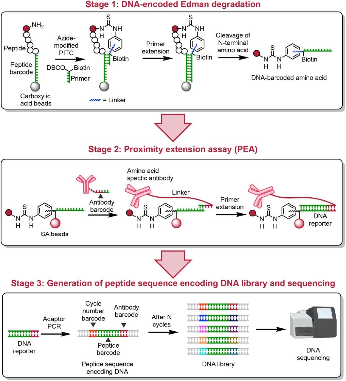 Reverse Translation doesn't exist in nature, but that's not stopping us from trying to do it!