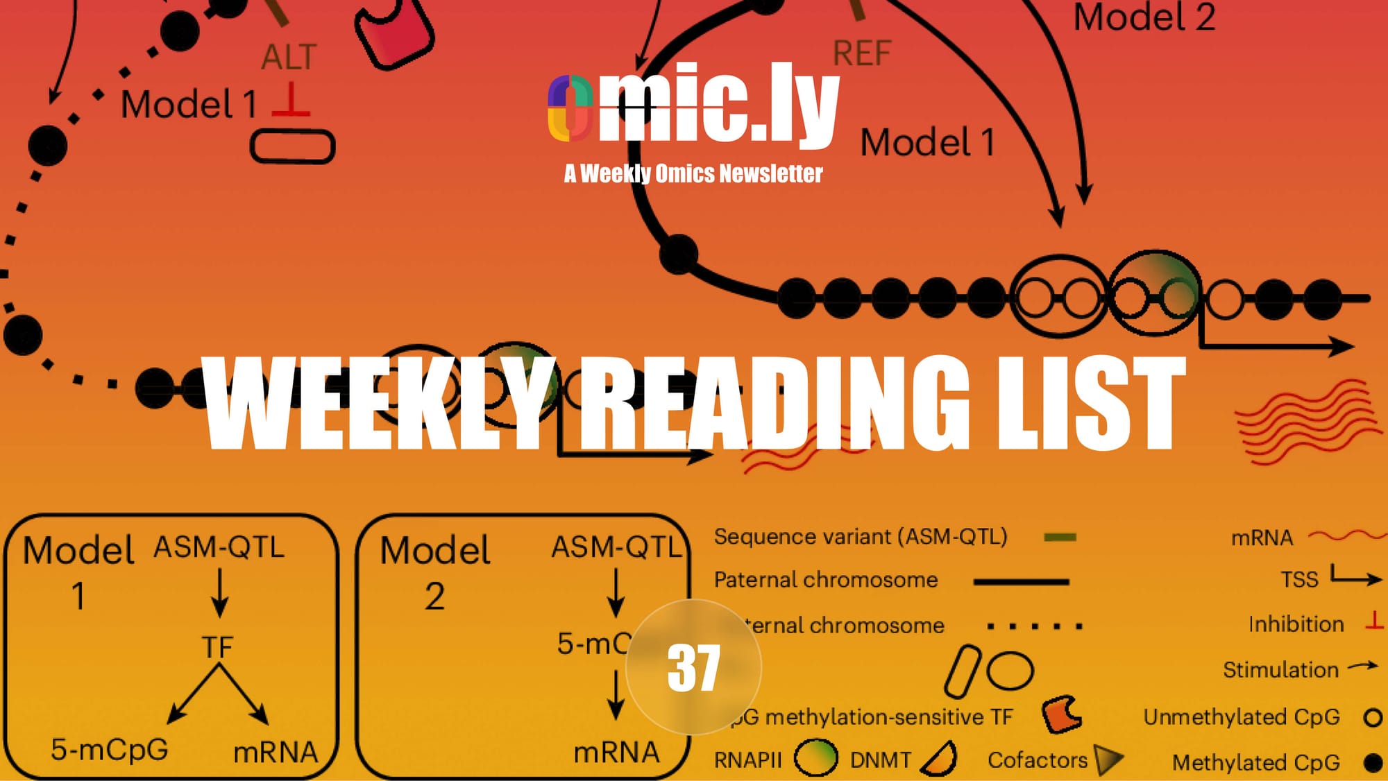 Weekly Reading List: August 11, 2024