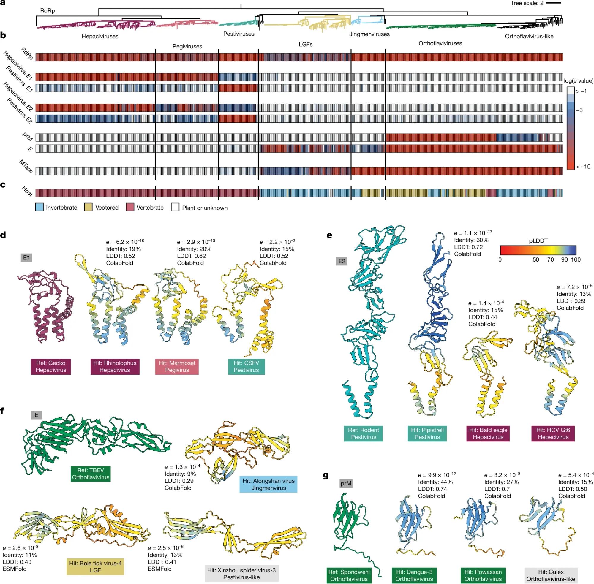 AI takes on virus evolution