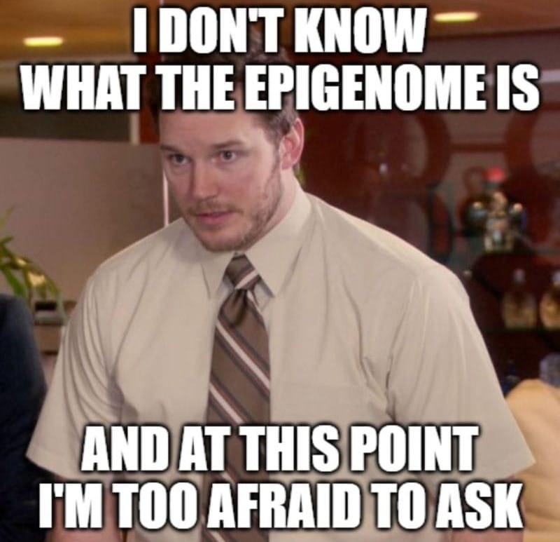 Epigenetics! You've heard of it, but what do you know about it?