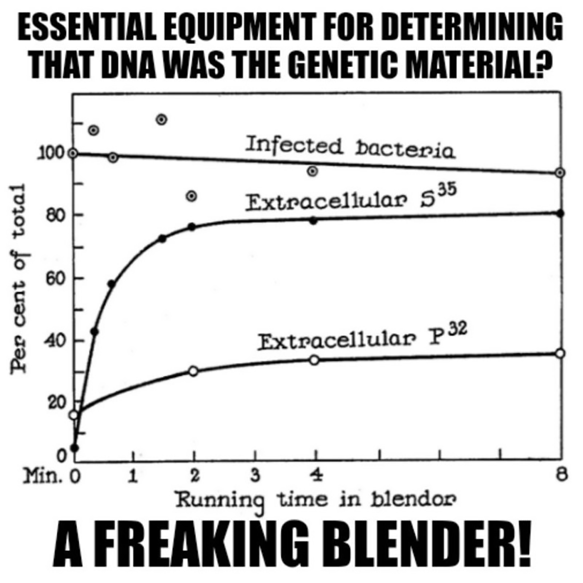 Is the genetic material protein or DNA? A blender decided.