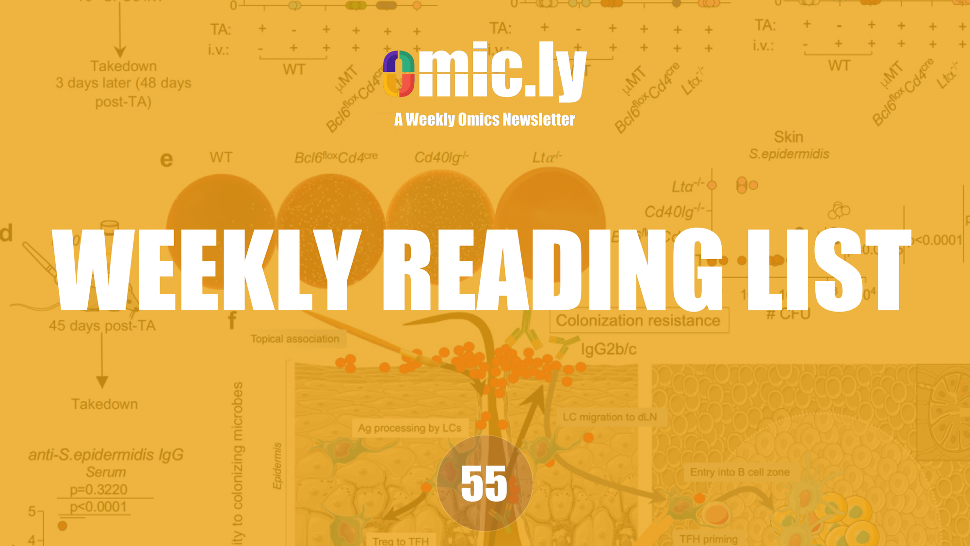 Weekly Reading List: Dec 23, 2024