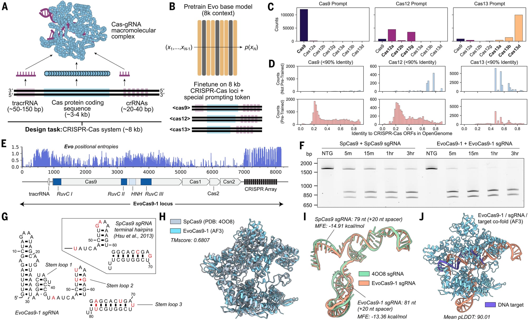 Foundation models are all the rage today - Now there's one for genomes!