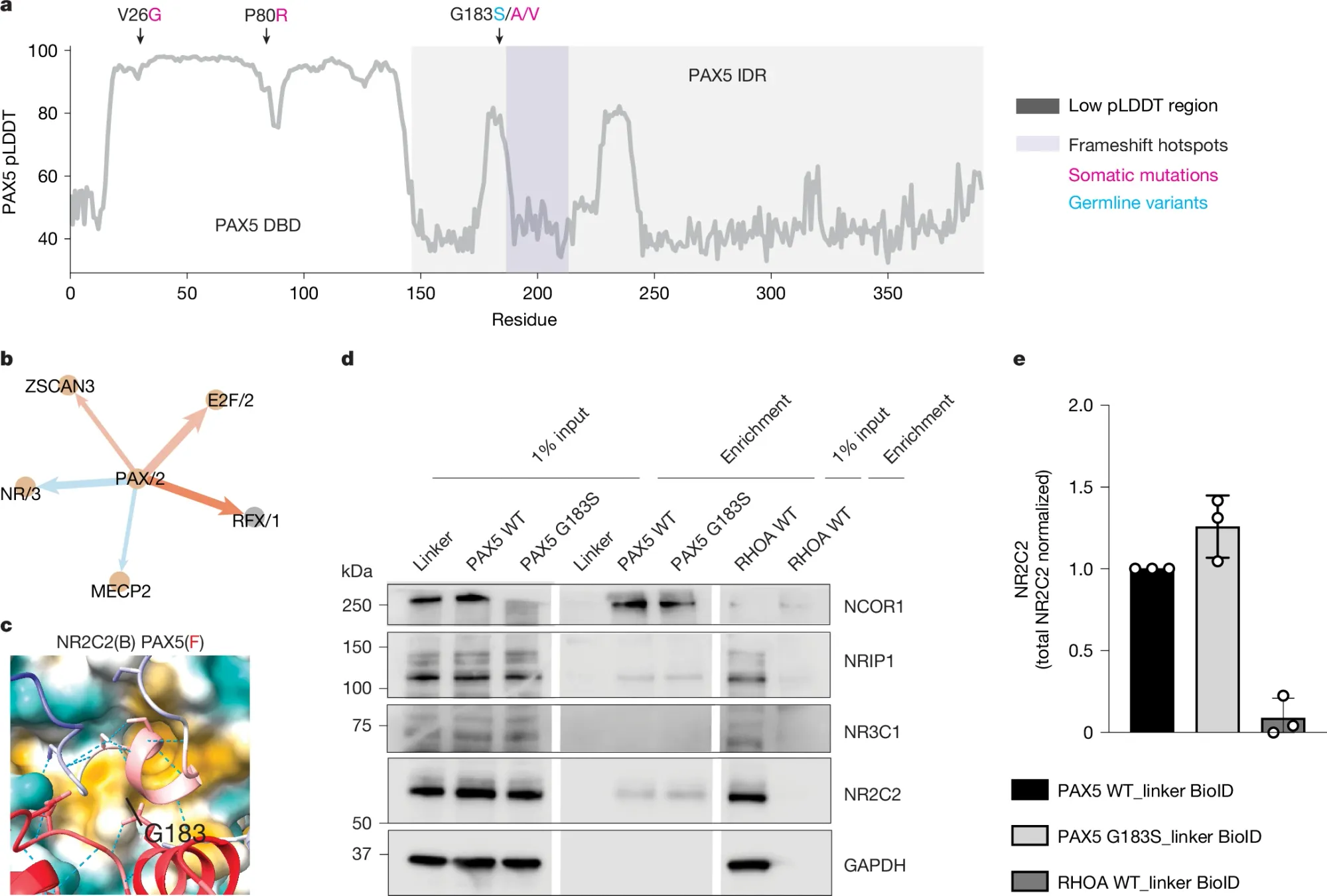 A foundation model for transcription in all known cell types