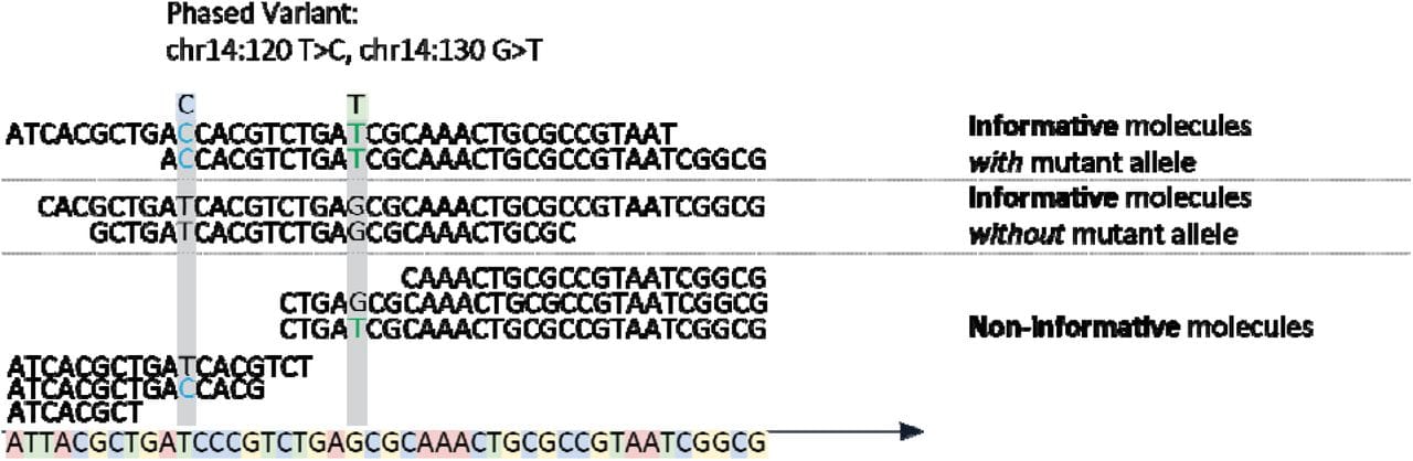 MRD Testing: It's just a phase