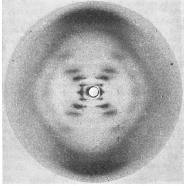 The story of Rosalind Franklin and photo 51