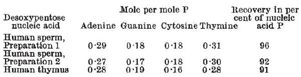 Chargaff’s Rule is the most basic rule of DNA