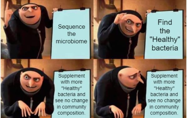 Studying the microbiome is really just a lesson in ecology!