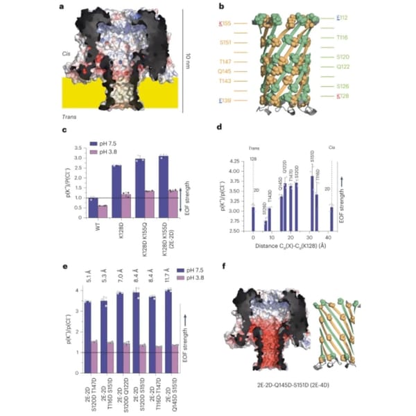 Sequencing proteins with nanopores is hard. Engineered nanopores might make it a little easier.