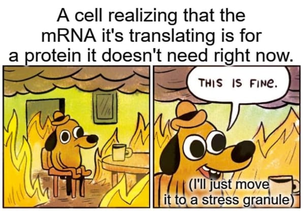 The Proteome: It's a bit more complex than any of us would like