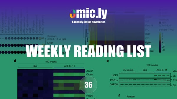 Weekly Reading List: August 4, 2024