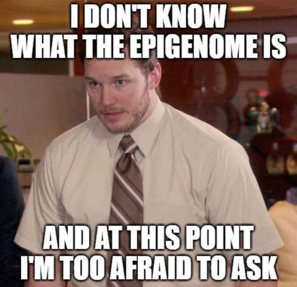 Epigenetics! You've heard of it, but what do you know about it?