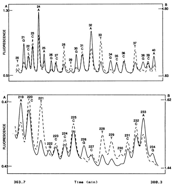 Automated sanger sequencing's fluorescent beginnings