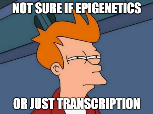 Epigenetics and transcription are so intertwined it's hard to tell them apart