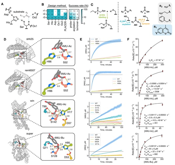 AI is making new, functional, enzymes now